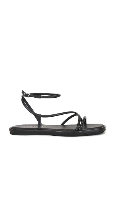 Loeffler Randall Noor Strappy Ankle Wrap Flat Sandal In Black