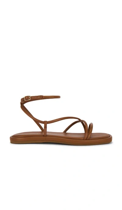 Loeffler Randall Noor Strappy Ankle Wrap Flat Sandal In Brown