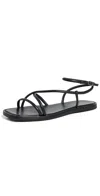 Loeffler Randall Noor Ankle Strap Sandal In Black