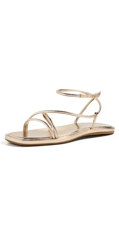 Loeffler Randall Noor Strappy Sandals Champagne