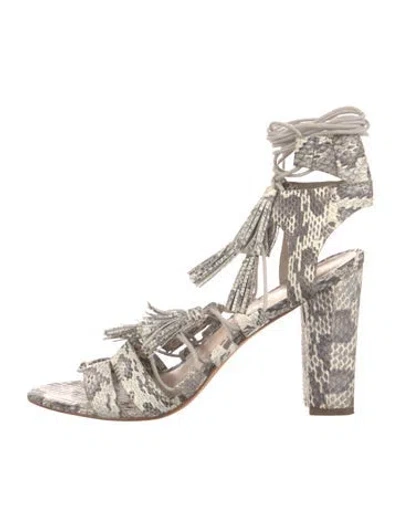 Pre-owned Loeffler Randall Snakeskin Animal Print Pumps In Grey