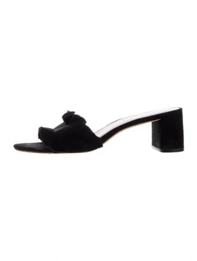 Pre-owned Loeffler Randall Suede Ruffle Embellishment Mules In Blue