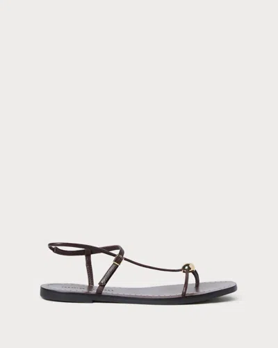 Loeffler Randall Women's Lara Strappy With Ball Flat Sandal In Espresso In Brown