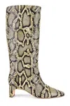 Loeffler Randall Women's Leighton Tall Boot In Sahara Embossed Snake Boots In Animal Print