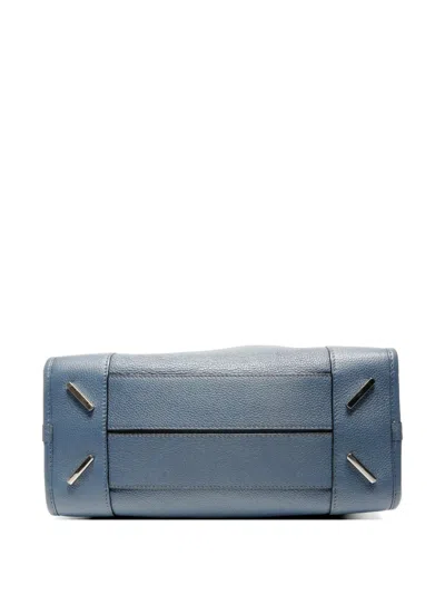 Pre-owned Loewe 2000-2020 Amazona Handbag In Blue