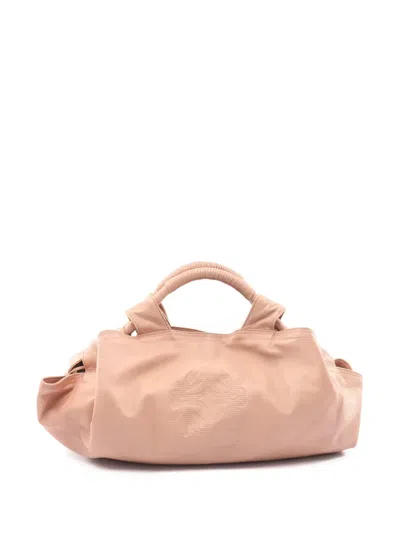 Pre-owned Loewe 2010-2026 Nappa Aire Hobo Bag In Pink