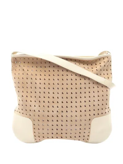 Pre-owned Loewe 2010-2026 Perforated Suede Crossbody Bag In Neutrals
