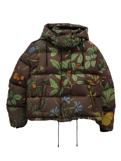 Pre-owned Loewe 2010s Floral-print Padded Jacket In Brown