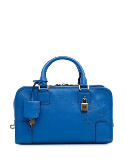 Pre-owned Loewe 2013 Limited Edition Leather Amazona 28 Handbag
