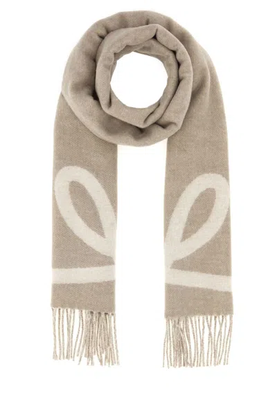 Loewe 28x180 Scarf In Multi