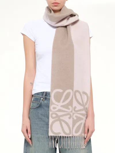 Loewe 28x180 Wool Cashmere Scarf In Beige