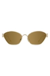 Loewe 57mm Cat Eye Sunglasses In Gold