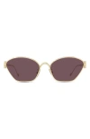 Loewe 57mm Cat Eye Sunglasses In Gold