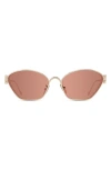 Loewe 57mm Cat Eye Sunglasses In Neutral