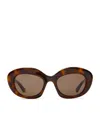 Loewe Acetate Dawn Oval Sunglasses In Brown