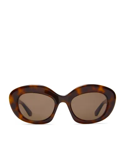 Loewe Acetate Dawn Oval Sunglasses In Dark Havana / Brown