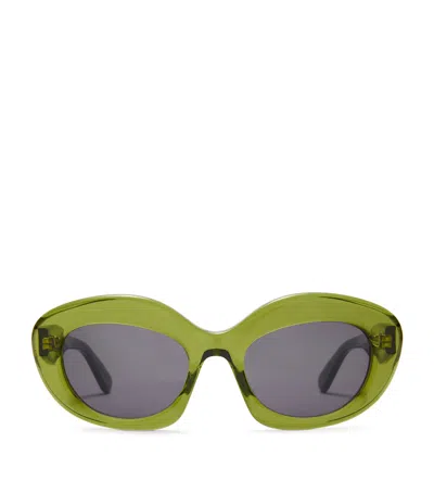 Loewe Acetate Dawn Oval Sunglasses In Shiny Dark Green / S