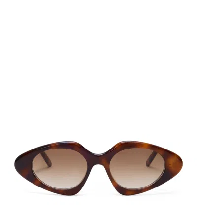 Loewe Womens Havana Triangle Slim Acetate Sunglasses In Brown