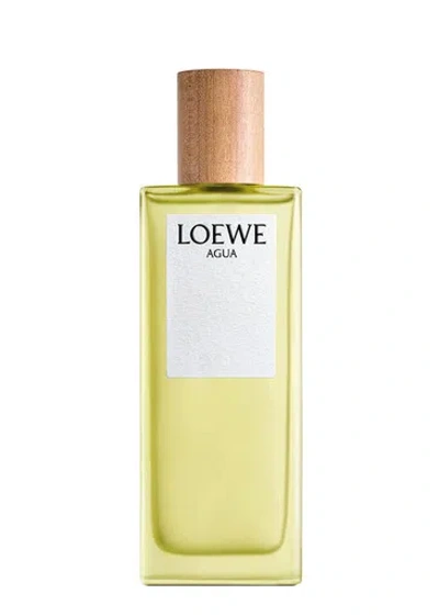 Loewe Agua Eau De Toilette 50ml, Perfume, Fragrance, Sparkle Of Light On Flowing Water, Dynamic And In White