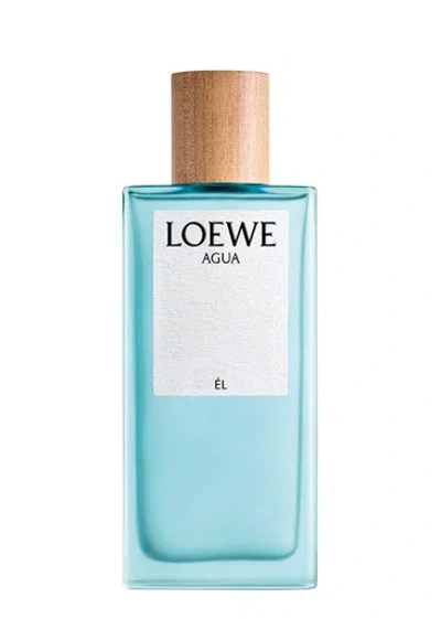 Loewe Agua Él Eau De Toilette 100ml In White