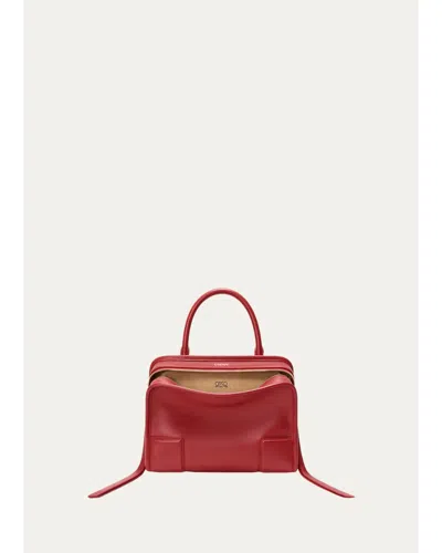 Loewe Amazona 180 Small Leather Top-handle Bag In Carmine Red