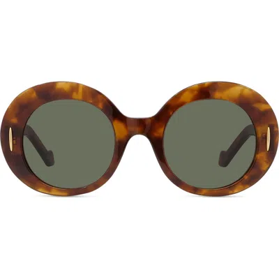 Loewe Anagram 50mm Oval Sunglasses In Multi