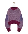 Loewe Women's Colorblocked Marled Wool Sweater In Purple