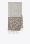 Loewe Anagram Scarf In Alpaca And Wool In Multi