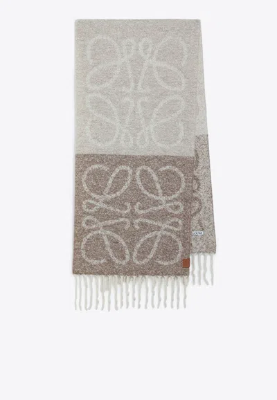 Loewe Anagram Scarf In Alpaca And Wool In Multi