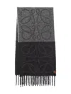 Loewe Anagram Scarf Scarves And Foulards Beige In Gray