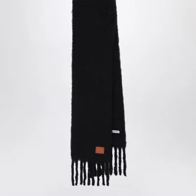 LOEWE LOEWE AND SCARF