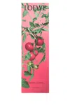 Loewe Bastoncini D'incenso Tomato Leaves  Unisex In Multi