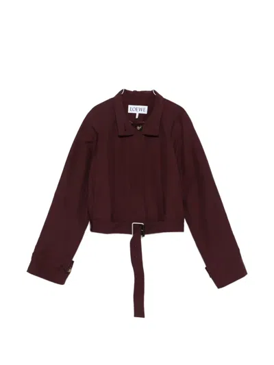 Loewe Belted Jacket In Burgundy