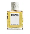 Loewe Bittersweet Oud Eau De Parfum