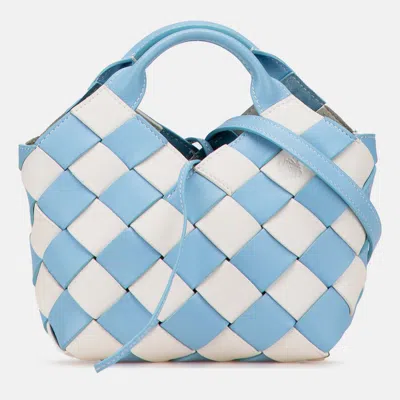 Pre-owned Loewe Blue White Mini Woven Calfskin Gingham Surplus Basket Bag