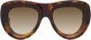 Loewe Brown Front Lenses Aviator Sunglasses