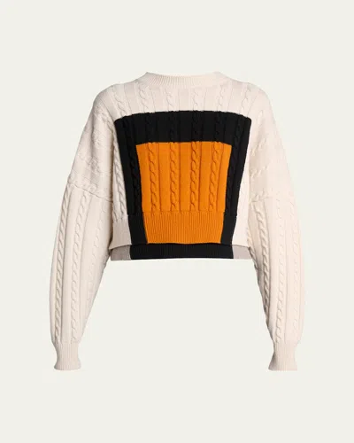 Loewe Cable Knit Crop Crewneck Sweater In Animal Print