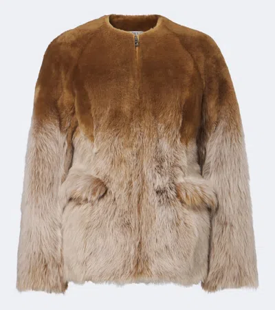Loewe Calf Hair Jacket In Camel
