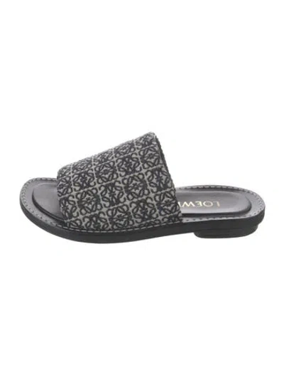 Pre-owned Loewe Canvas Patterned Slides In Blue