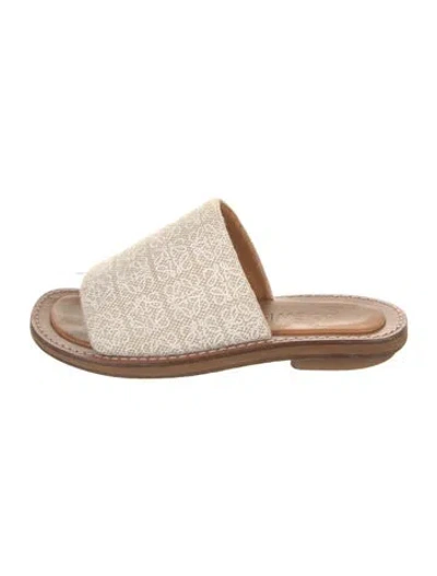 Pre-owned Loewe Canvas Printed Slides In Neutral