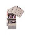 Loewe Intarsia-knit Wool-blend Scarf In Multi