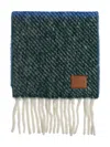 Loewe Colour-block Fringed Scarf In Green