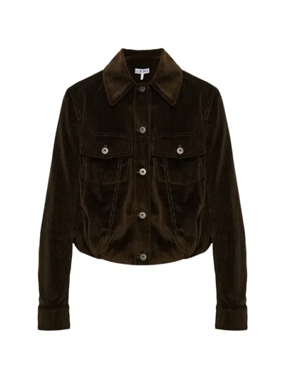 Loewe Corduroy Button-up Jacket In Brown