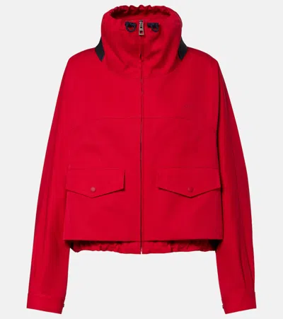 Loewe Leather-trimmed Anagram-embroidered Cropped Cotton And Silk-blend Gabardine Jacket In Animal Print