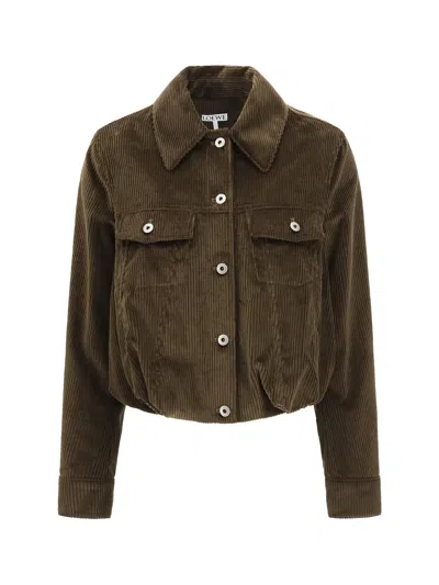 Loewe Cotton Corduroy Jacket In Brown