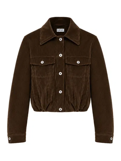 Loewe Cotton Corduroy Jacket With A Balloon Silhouette And Curved Sleeves In Brown