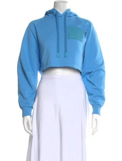 Pre-owned Loewe Crew Neck Long Sleeve Hoodie In Blue