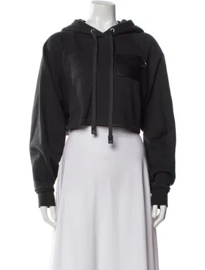 Pre-owned Loewe Crew Neck Long Sleeve Hoodie In Gray