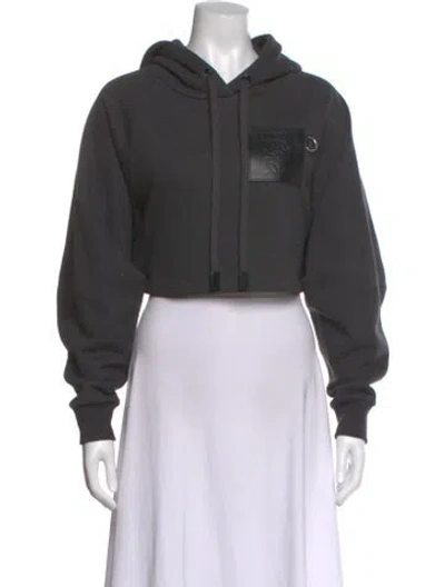 Pre-owned Loewe Crew Neck Long Sleeve Hoodie In Gray