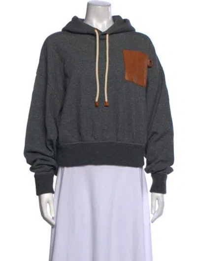 Pre-owned Loewe Crew Neck Long Sleeve Hoodie In Grey